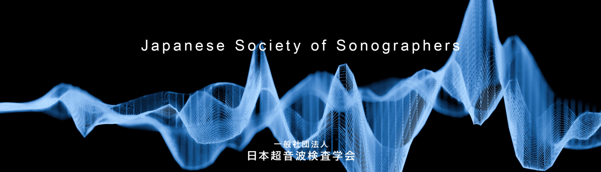 一般社団法人日本超音波検査学会